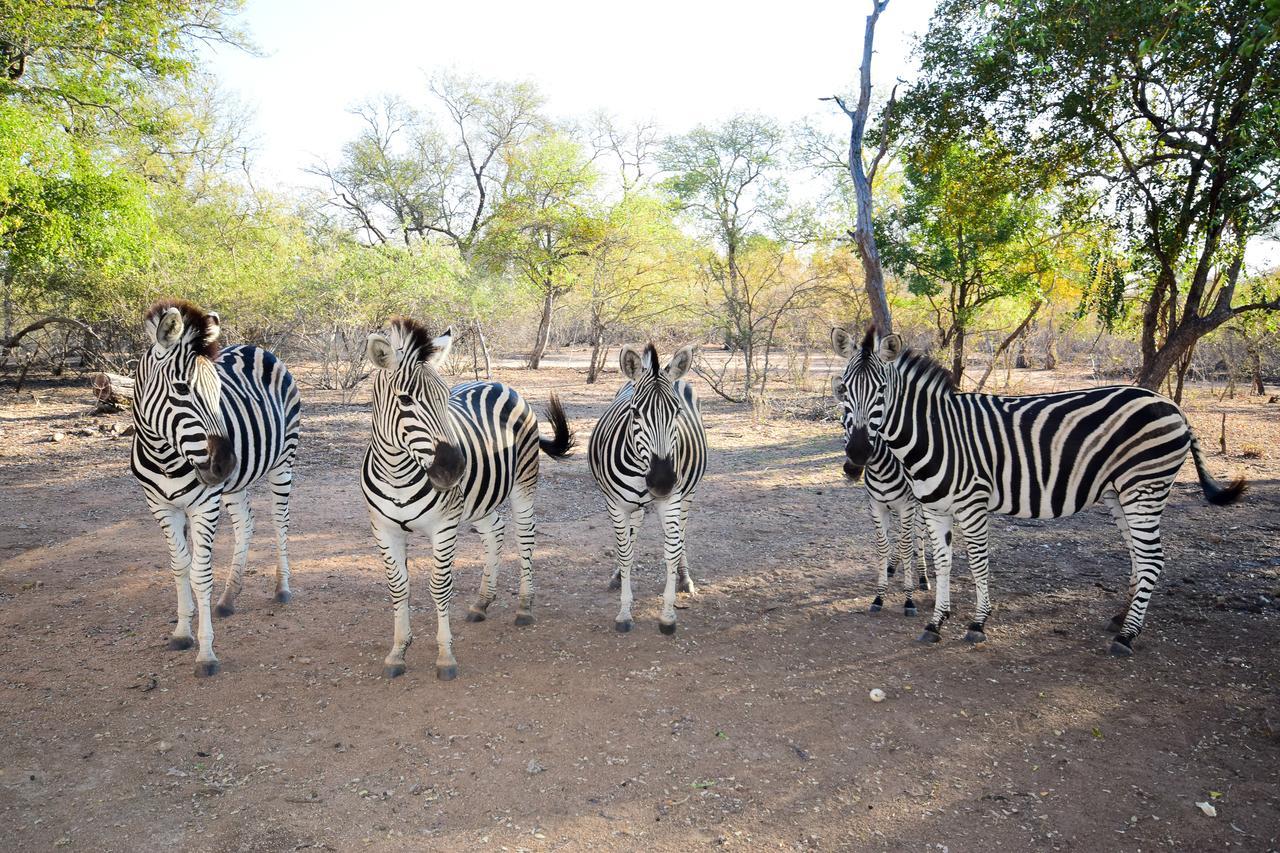 Mananga Bush Villa Skukuza Bagian luar foto